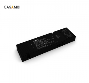 IVY-AC Constant Voltage Driver & Controller